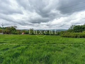 Prodej pozemku pro bydlení, Lipnice nad Sázavou, 38008 m2