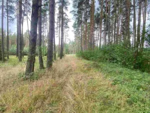 Prodej pozemku, Kladruby - Tuněchody, 2230 m2