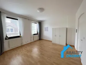 Pronájem bytu 1+1, Děčín, Horská, 36 m2