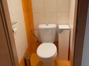 Pronájem rodinného domu, Matějov, 90 m2