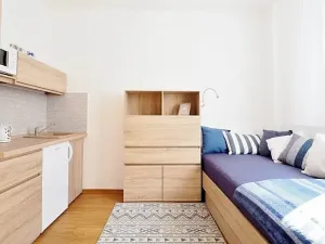 Prodej bytu 1+kk, Brno, Cejl, 17 m2