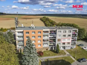 Pronájem bytu 1+1, Žihle, 44 m2