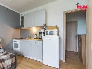 Prodej bytu 1+kk, Mariánské Lázně - Úšovice, Česká, 24 m2