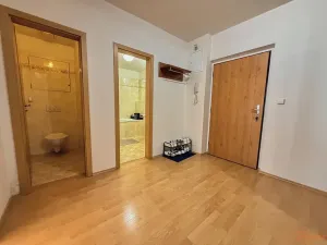 Pronájem bytu 2+kk, Praha - Břevnov, Šlikova, 78 m2