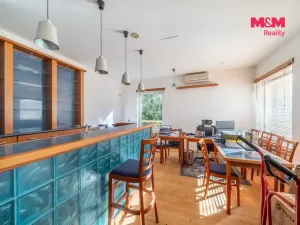 Prodej obchodního prostoru, Chudenín - Uhliště, 203 m2