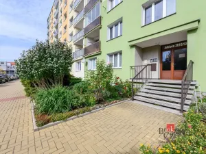 Pronájem bytu 1+1, Plzeň - Jižní Předměstí, Adelova, 36 m2