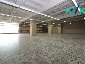 Pronájem obchodního prostoru, Sokolov, Karla Havlíčka Borovského, 720 m2