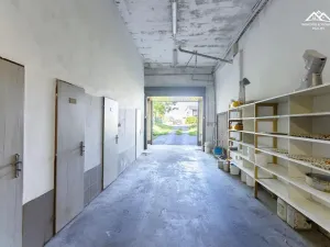 Pronájem výrobních prostor, Nová Ves u Chotěboře, 266 m2