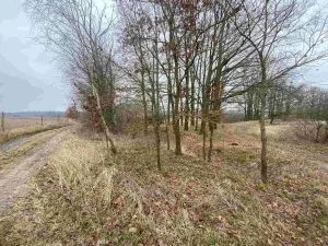 Prodej pozemku, Drahonice - Albrechtice, 2121 m2