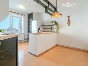 Prodej bytu 2+1, České Budějovice, Nerudova, 58 m2