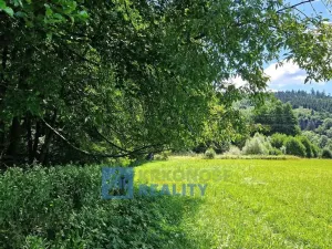 Prodej lesa, Trutnov - Babí, 44299 m2