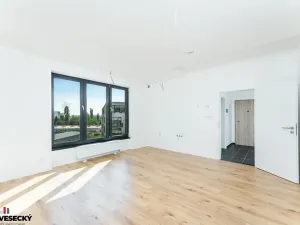 Prodej bytu 1+kk, Plzeň, Železná, 38 m2