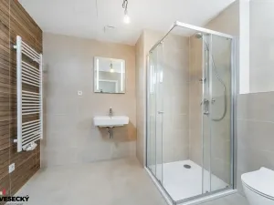 Prodej bytu 1+kk, Plzeň, Železná, 38 m2