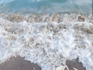 Prodej bytu 2+kk, Nesebar, Bulharsko, 45 m2