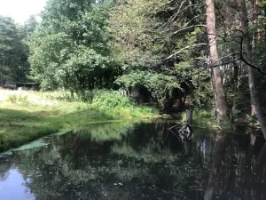 Prodej rybníku, Vítězná, 2385 m2