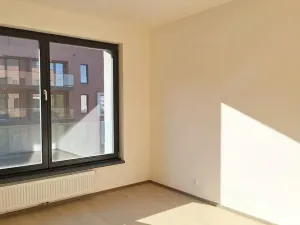 Pronájem bytu 2+kk, Praha - Karlín, Švarcova, 54 m2