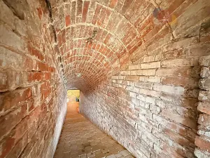 Prodej vinného sklepa, Mutěnice, Slovácká, 164 m2
