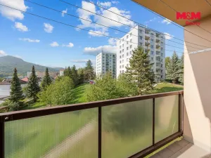 Prodej bytu 2+1, Děčín - Děčín VI-Letná, Za Bažantnicí, 50 m2