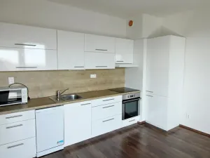 Pronájem bytu 1+kk, Mladá Boleslav, 50 m2
