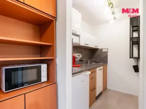 Pronájem bytu 1+kk, Janov nad Nisou, 25 m2