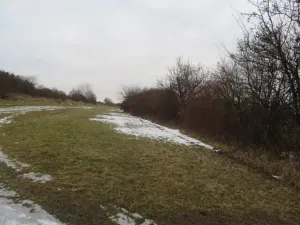 Dražba louky, Račice nad Trotinou, 18528 m2