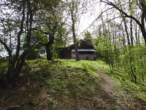 Dražba chaty, Nasavrky, 64 m2