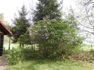 Dražba chaty, Nasavrky, 64 m2