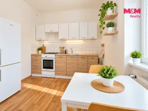Pronájem bytu 1+1, Pardubice - Zelené Předměstí, Havlíčkova, 48 m2