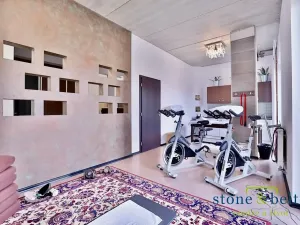Prodej ubytování, Kolín, Slovenská, 394 m2