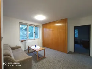Pronájem rodinného domu, Příbram, Na Výsluní, 193 m2