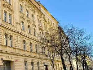 Prodej bytu 1+kk, Praha - Holešovice, Na Maninách, 26 m2