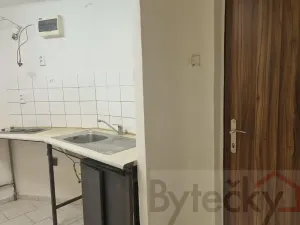 Pronájem bytu 1+1, Praha - Strašnice, Srbínská, 24 m2