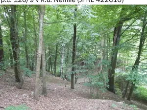 Prodej lesa, Nemile, 323 m2