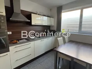 Pronájem obchodního prostoru, Pohořelice, 3700 m2