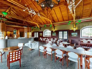 Dražba restaurace, Praha - Holešovice, Jankovcova, 1096 m2