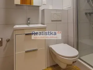 Pronájem bytu 3+1, Plzeň, Pod Záhorskem, 77 m2