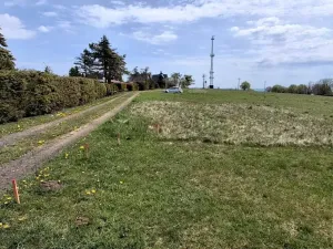 Prodej louky, Osek, 1013 m2