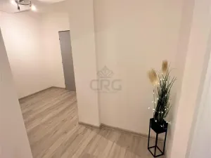 Pronájem bytu 2+kk, Opava - Předměstí, Kačírkova, 54 m2