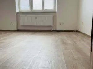 Pronájem bytu 1+kk, Olomouc - Hodolany, Zeyerova, 20 m2