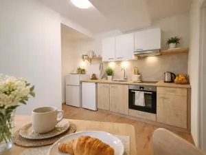 Prodej bytu 2+kk, Brno, Zezulova, 30 m2