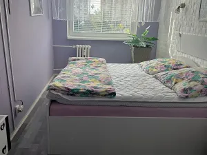 Prodej bytu 2+kk, Mladá Boleslav, Jana Palacha, 42 m2