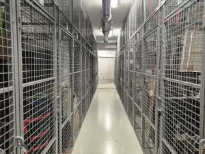 Pronájem bytu 1+kk, Plzeň - Jižní Předměstí, Inženýrská, 50 m2