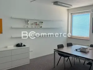 Pronájem skladu, Šlapanice, 4600 m2