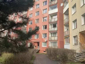 Prodej bytu 1+1, Chomutov, 17. listopadu, 36 m2