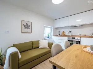 Prodej bytu 2+kk, Brno, Tišnovská, 30 m2