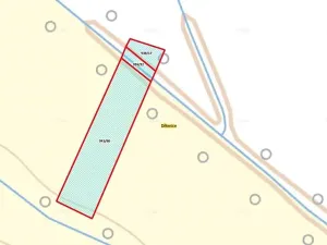 Prodej louky, Dětenice, 3390 m2