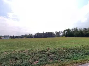 Prodej louky, Vyžice, 8234 m2