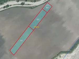 Prodej pole, Čížkovice, 7982 m2