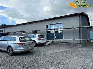 Pronájem komerční nemovitosti, Ostrava, 400 m2