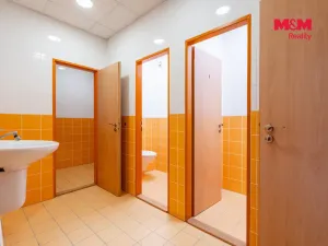 Pronájem obchodního prostoru, Žďár nad Sázavou - Žďár nad Sázavou 1, Brněnská, 1224 m2